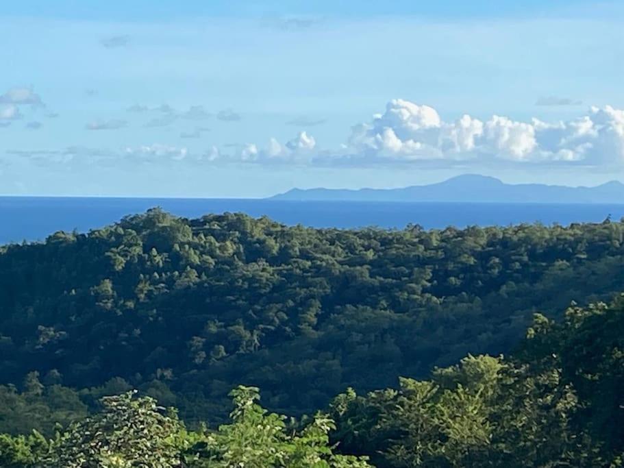 Les Terrasses De Maelle - Jolie Villa F4 Vue Mer Riviere-Salee Bagian luar foto